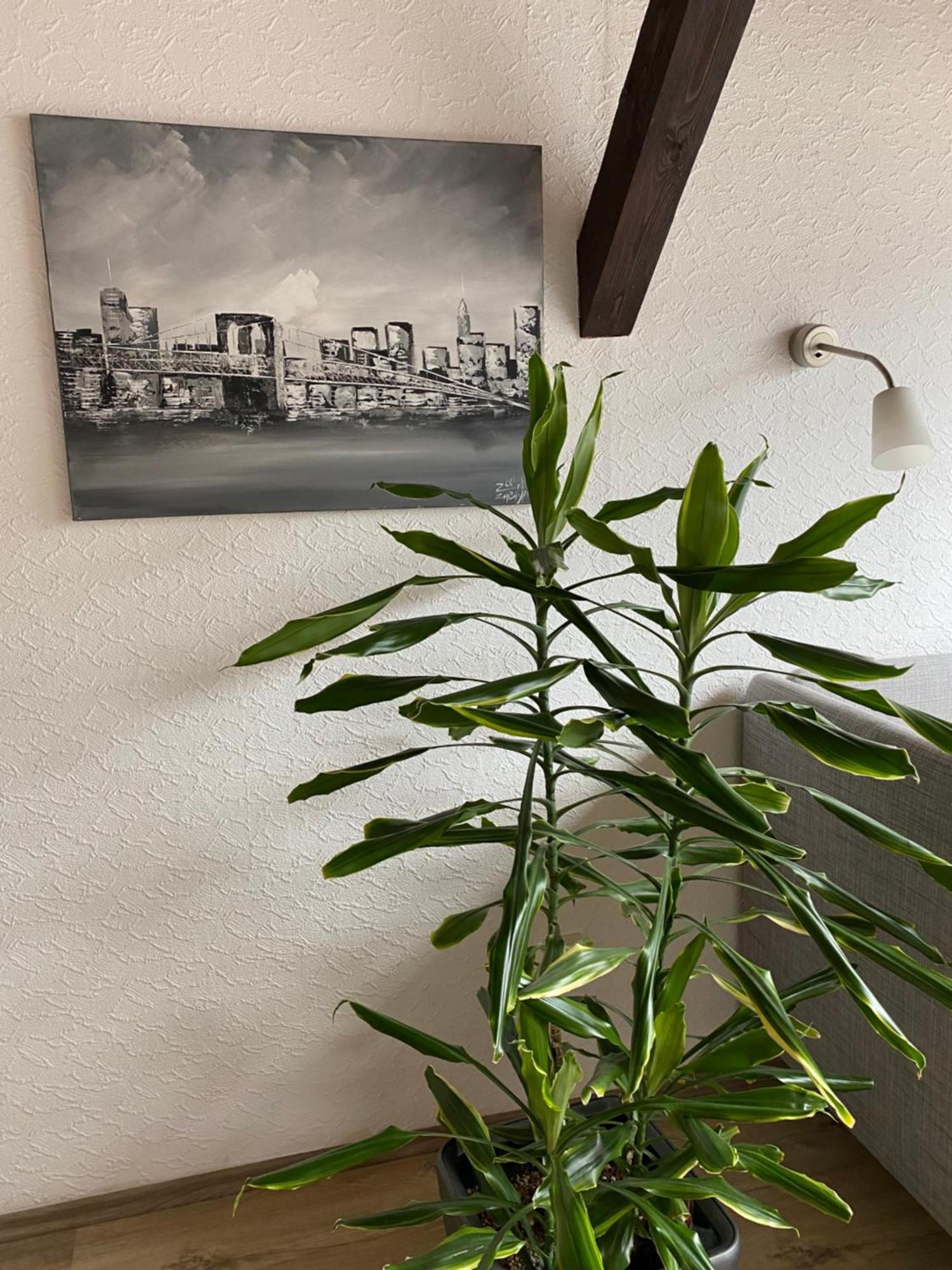 Ferienwohnung Malk Traben-Trarbach Exteriér fotografie